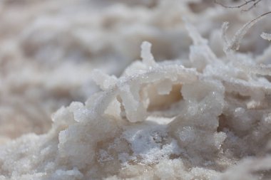 Dead Sea 'de ölü deniz tuzu taşları ve kristaller. Makro fotoğraf. İsrail