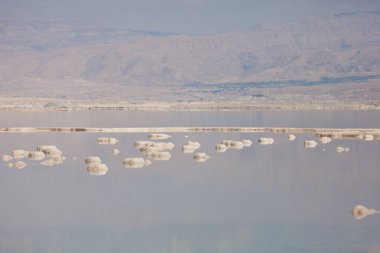 Dead Sea 'de ölü deniz tuzu taşları ve kristaller. İsrail
