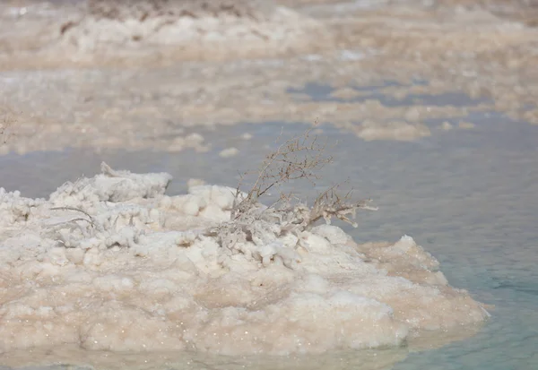 Соляные камни и кристаллы Мертвого моря. Fantom фото. Израиль — стоковое фото