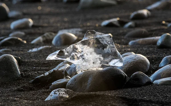 Verbazingwekkende transparante blauwe ijsberg stukken op Diamond Beach met zwart zand in de buurt van Jokulsarlon Lagoon, IJsland. Ijskalven. Zwart-wit contrast. — Stockfoto