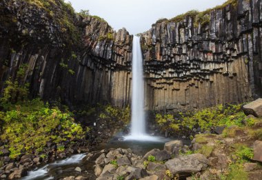 South Iceland, yaz saati üzerinde siyah bazalt sütunlarla harika ve yüksek Svartifoss şelale