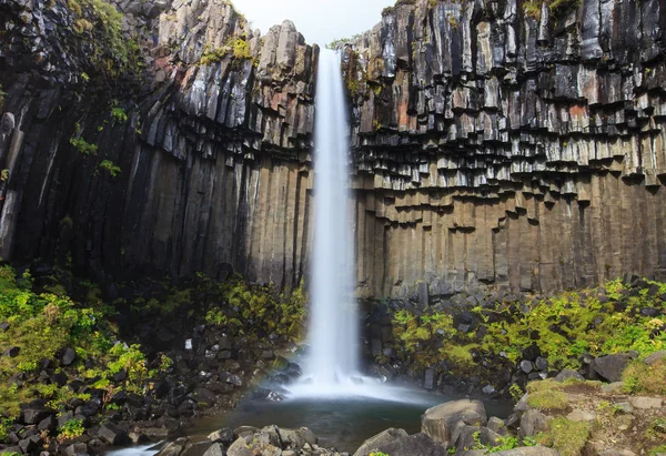 Maravillosa y alta cascada Svartifoss con columnas de basalto negro en el sur de Islandia, hora de verano — Foto de Stock