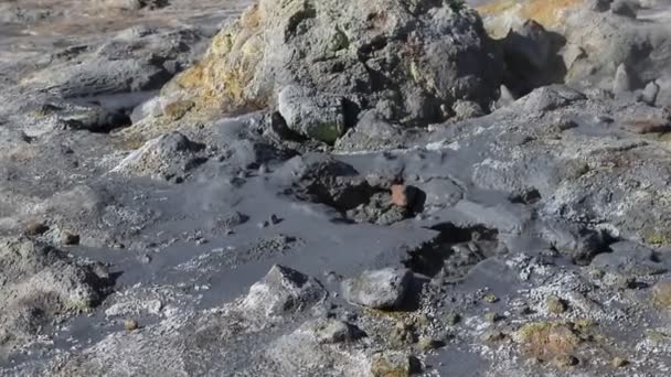 Iceland geothermal zone Namafjall - area in field of Hverir. Landscape which pools of boiling mud and hot springs. Tourist and natural attractions. — Stock Video