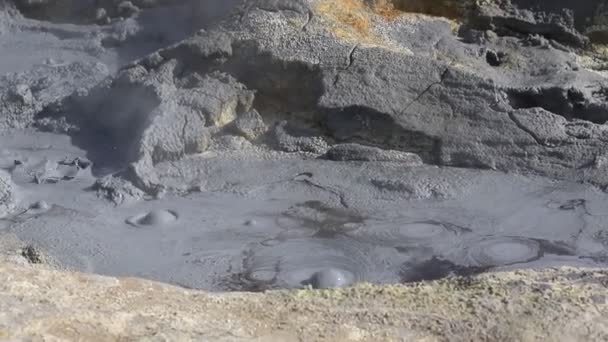 Islandia zona geotérmica Namafjall - zona en el campo de Hverir. Paisaje que piscinas de barro hirviendo y aguas termales. Atracciones turísticas y naturales . — Vídeo de stock