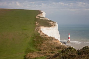Beyaz tebeşir kayalıkları ve Beachy Head Deniz Feneri. Eastbourne, Doğu Sussex, İngiltere. İngiltere'nin en yüksek tebeşir deniz uçurumu, 162 metre ye yükseliyor. Dünyanın en yaygın üçüncü intihar noktası