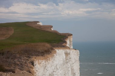 Beyaz tebeşir kayalıkları ve Beachy Head Deniz Feneri. Eastbourne, Doğu Sussex, İngiltere. İngiltere'nin en yüksek tebeşir deniz uçurumu, 162 metre ye yükseliyor. Dünyanın en yaygın üçüncü intihar noktası
