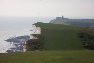 Beyaz tebeşir kayalıkları ve Beachy Head Deniz Feneri. Eastbourne, Doğu Sussex, İngiltere. İngiltere'nin en yüksek tebeşir deniz uçurumu, 162 metre ye yükseliyor. Dünyanın en yaygın üçüncü intihar noktası