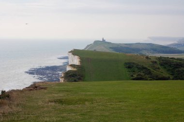 Beyaz tebeşir kayalıkları ve Beachy Head Deniz Feneri. Eastbourne, Doğu Sussex, İngiltere. İngiltere'nin en yüksek tebeşir deniz uçurumu, 162 metre ye yükseliyor. Dünyanın en yaygın üçüncü intihar noktası