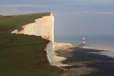 Beyaz tebeşir kayalıkları ve Beachy Head Deniz Feneri. Eastbourne, Doğu Sussex, İngiltere. İngiltere'nin en yüksek tebeşir deniz uçurumu, 162 metre ye yükseliyor. Dünyanın en yaygın üçüncü intihar noktası
