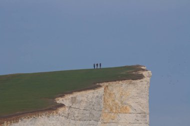 White chalk cliffs and Beachy Head Lighthouse. Eastbourne, East Sussex, England. Highest chalk sea cliff in Britain, rising to 162 metres. Third most common suicide spot in the world clipart