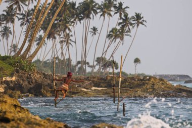 Ahangama, Sri Lanka-03 Ocak 2012: Yerel balıkçılar eşsiz bir geleneksel yöntemle avlanıyor. Tek bir kereste direğinde ya da çubuğunda duran. Sadece bu Hint okyanusunda bulunabilir..