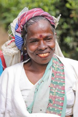 Nuwara Eliya, Sri Lanka -04 Ocak 2012: Sri Lankalı gülen Tamil kadın çay tarlasında çay yapraklarını geleneksel çay toplama yöntemiyle kırıyor