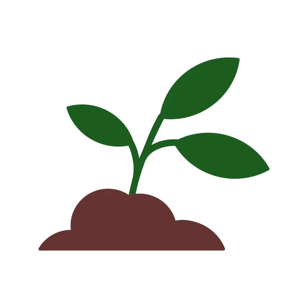土壌植物のアイコン創造的なデザインテンプレート — ストックベクタ