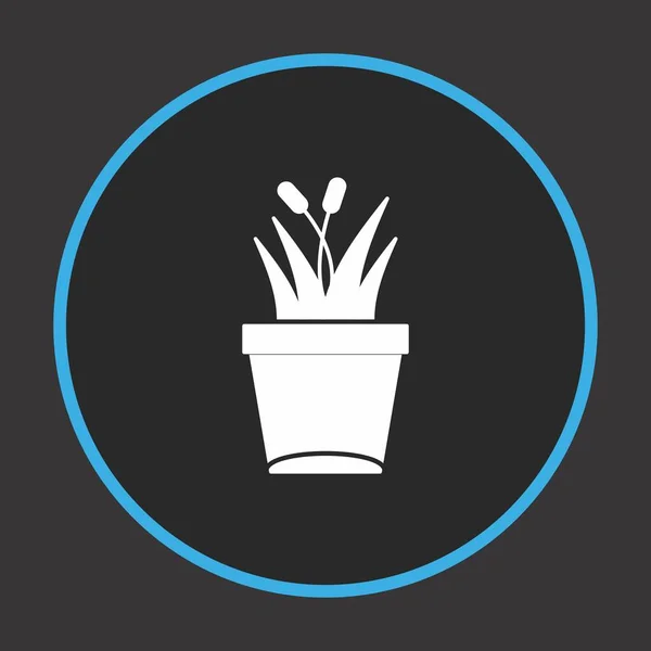 Значок Рослини Вашого Проекту — стоковий вектор