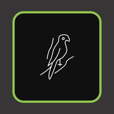  Projeniz için papağan simgesi