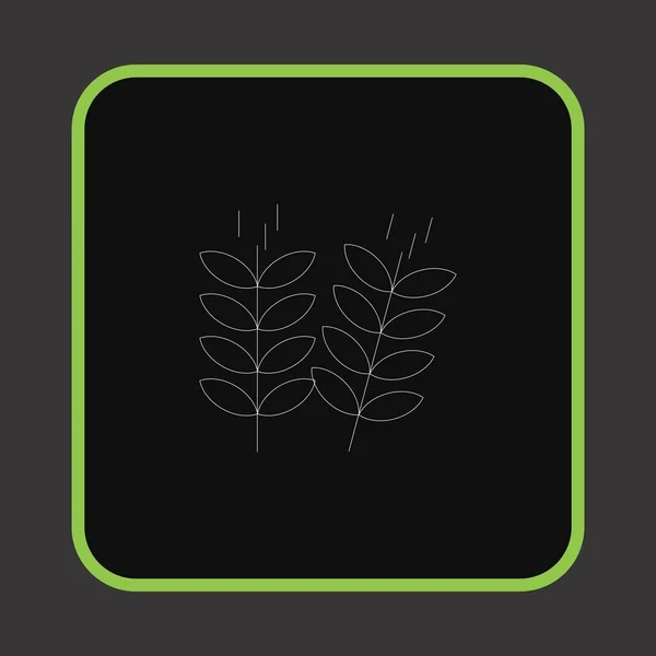 あなたのプロジェクトのための植物のアイコン — ストックベクタ