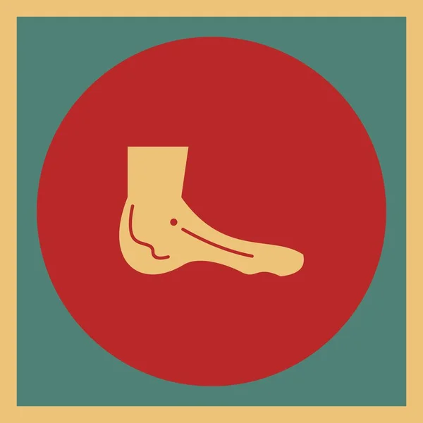 Nsan Ayakkabısı Simgesinin Vektör Illüstrasyonu — Stok Vektör