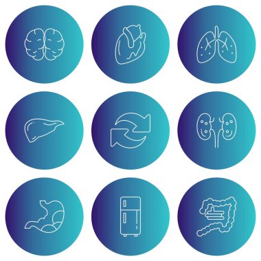 Evrensel İlişkili Renk Simgelerinin Basit Kümesi