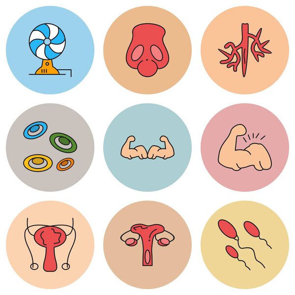 Набор универсальных икон с копировальным пространством
