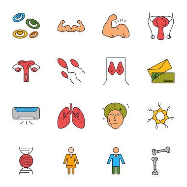 16 basit simge, Web Simgeleri Kümesi, vektör illüstrasyonu 