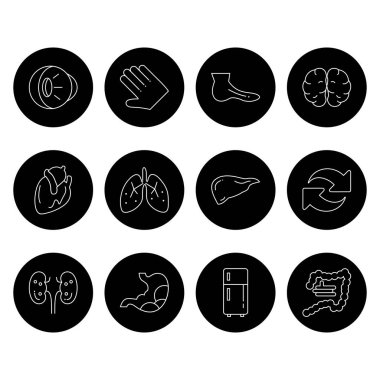 Web ve mobil uygulama için 12 Kullanıcı Arayüzü Simgesi belirlendi