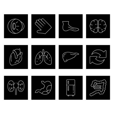 Web siteleri ve Mobil Uygulamalar için Evrensel Modern Simge Sayfası