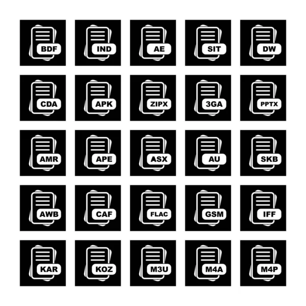 Conjunto Iconos Formato Archivo Vectorial — Vector de stock