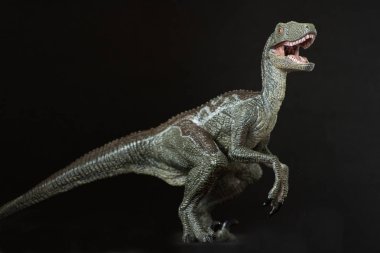 VelociRaptor siyah arka plan üzerine
