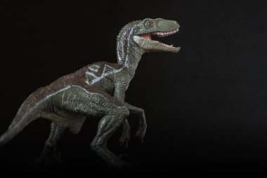 Dinozor velociraptor siyah arka plan üzerine