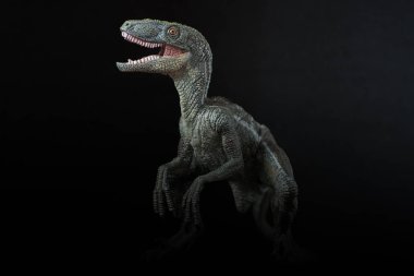 Dinozor velociraptor siyah arka plan üzerine