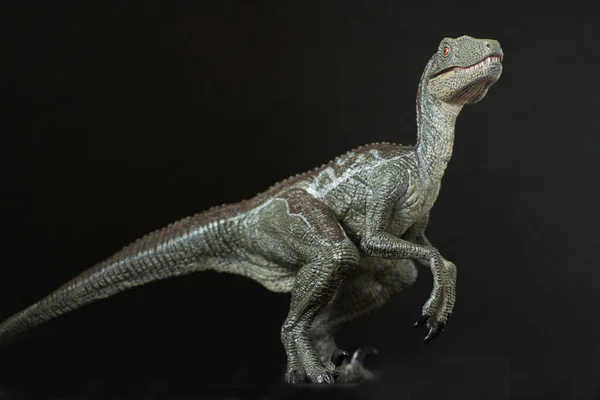 Velociraptor Black Background — Stock Photo, Image