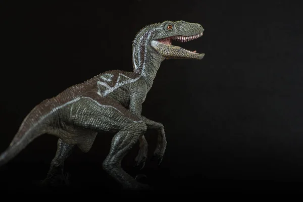 바탕에 Velociraptor — 스톡 사진