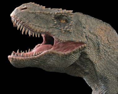 Tyrannosaurus Rex siyah arka planda izole
