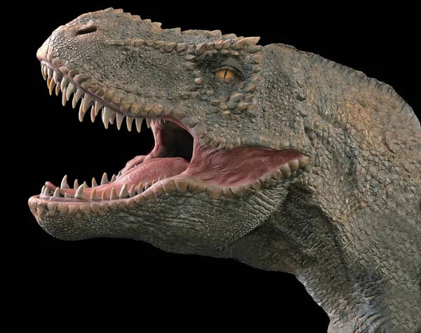黒い背景に孤立したティラノサウルスレックス — ストック写真