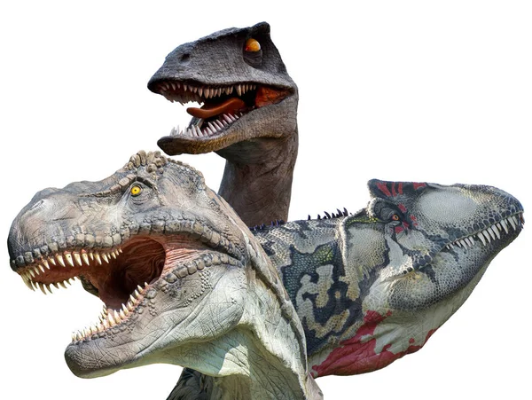 Dinozaury Mięsożerne Białym Tle Tyrannosaurus Rex Allozaur Velociraptor — Zdjęcie stockowe