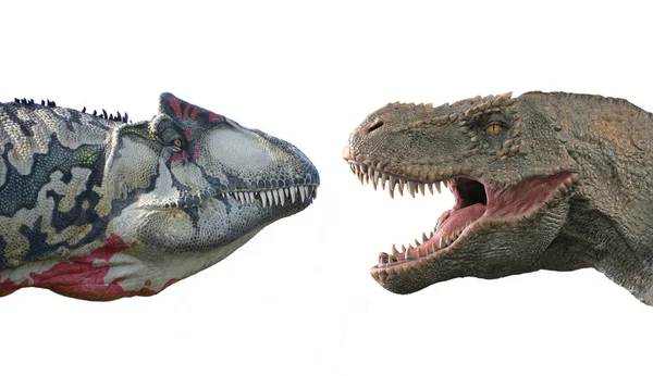 Masožravé Dinosaury Izolované Bílém Pozadí Tyrannosaurus Rex Allosaurus Velociraptora — Stock fotografie