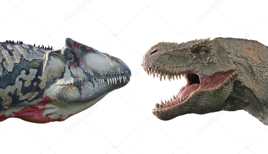 Carnivorous dinosaurs isolated on white background. Tyrannosaurus-rex, allosaurus and velociraptor