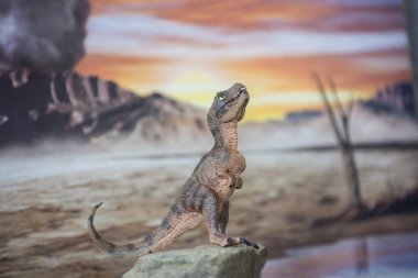 Bebek tyrannosaurus rex jurassic land içinde belgili tanımlık geçmiş ile