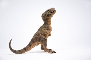 Bebek tyrannosaurus rex beyaz arka plan üzerinde izole