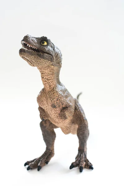 Bébé Tyrannosaure Rex Isolé Sur Fond Blanc — Photo