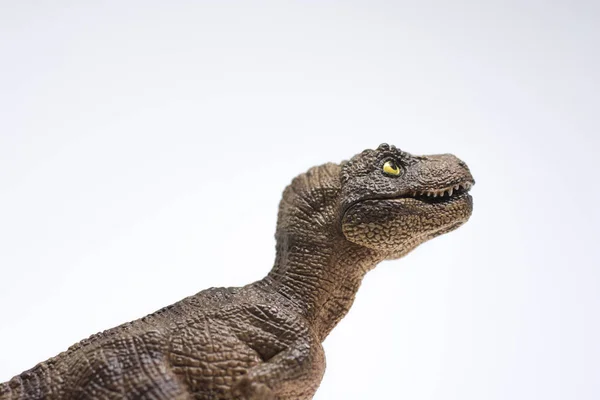 白い背景で隔離の赤ちゃんティラノサウルス レックス — ストック写真