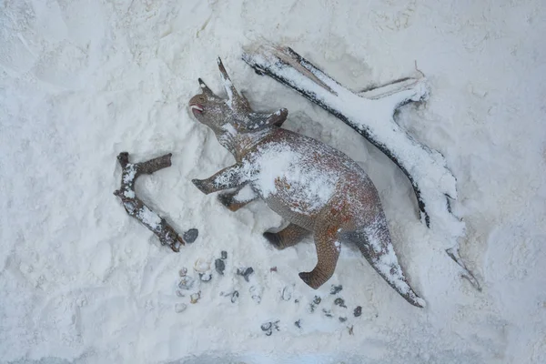 Dead triceratops under the snow. Dinosaur\'s extinction into ice age