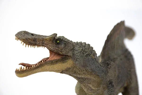 白い背景で隔離スピノサウルス — ストック写真