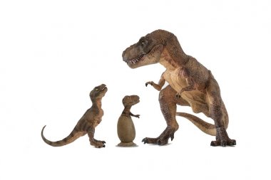 Bebek tyrannosaurus rex ve yumurta içine yenidoğan tyrannosaurus ile Tyrannosaurus rex