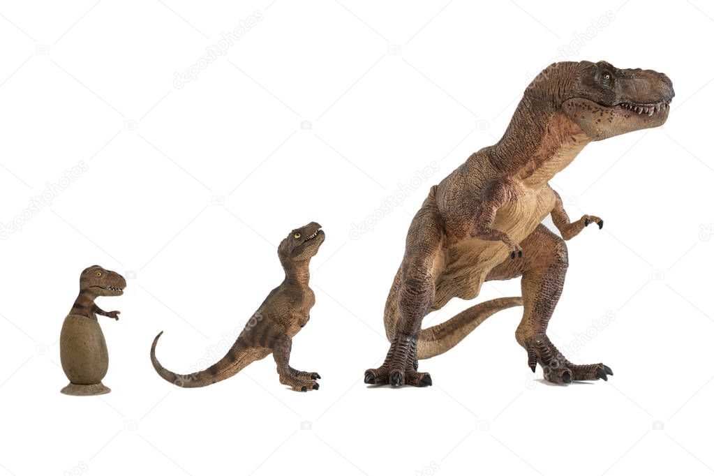 Tyrannosaurus rex with baby tyrannosaurus rex and newborn tyrannosaurus into egg