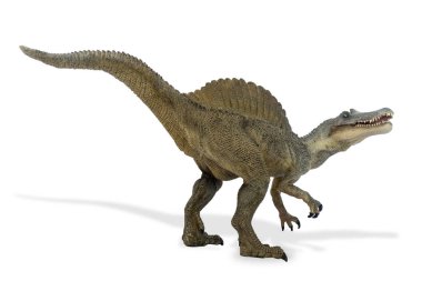 Tehlikeli ve etoknik Spinosaurus beyaz arka plan üzerinde izole