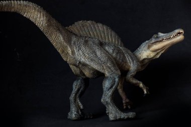 Spinosaurus isolated on black background clipart