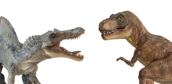 Tyrannosaurus rex versus Spinosaurus isolado em fundo branco — Fotografia de Stock