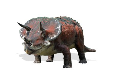 Beyaz arka plan üzerinde izole triceratops
