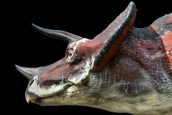 Triceratops på svart bakgrund — Stockfoto